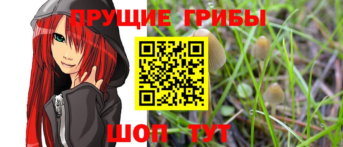 Галлюциногенные грибы мицелий Новочеркасск